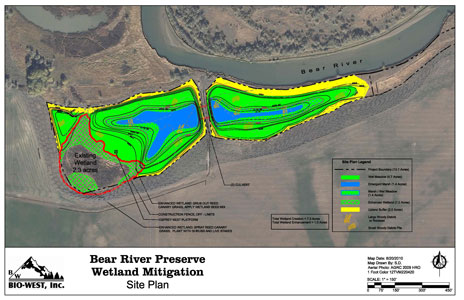 Wetland Plan
